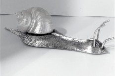 Silver and Mother-of-Pearl Snail