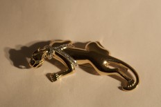 Gold brooch